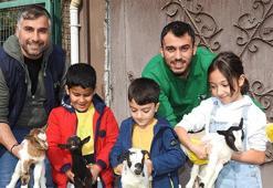 Avrupa'nın üçüncü en büyük hayvanat bahçesi Gaziantep'te!  Zoo Parkı'nda büyük sevinç yaşanıyor