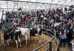 Genç üreticilere nakit desteği! Adana'da dördüncü kez yapıldı! 'Desteklerimiz artarak devam edecek'