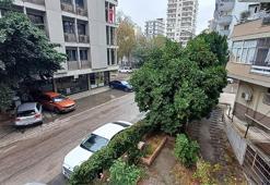 Adana'da hava tersine dönüyor: Sıcaklıklar düşecek! Yağışlı günler geliyor