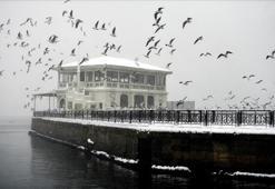 İstanbul'a kar ne zaman gelecek? Meteoroloji uzmanından son dakika kar yağışı açıklaması geldi, İstanbul'da kar yağışı için tarih verdi
