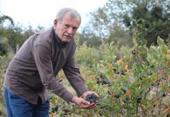 Eşinin rahatsızlığı için ekti, şimdi taleplere yetişemiyor: Tam bir vitamin deposu, kilosu 500 lira