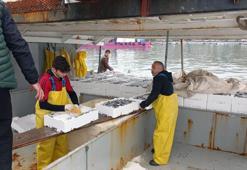 Akçakoca'da balıkçılar binlerce kasa hamsi ile döndüler