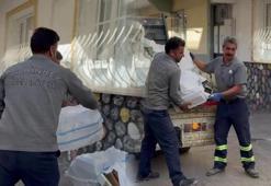 Gaziantep'te ihtiyaç sahiplerine sosyal yardım desteği: Budanan ağaçlar ihtiyaç sahiplerine yakacak oluyor