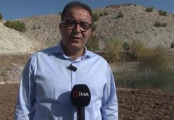 Kaybolmaya yüz tutmuş ata tohumları, Mezopotamya'nın verimli topraklarıyla yeniden buluştu