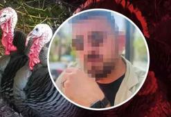 Ankara'da devlet memurundan 50 milyon liralık hindi vurgunu