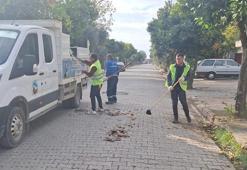Ceyhan sokaklarında hummalı temizlik çalışması: Kırsal bölgelerde çalışmalar sürüyor