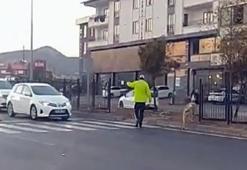 Bingöl'de yüzleri güldüren görüntü: Polis, sokak köpeğinin karşıya geçmesi için trafiği durdurdu