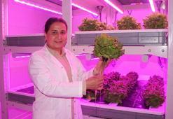 Afetlere ve iklim değişikliğine karşı bitki fabrikaları! Çukurova Üniversitesi akademisyenleri geliştirdi
