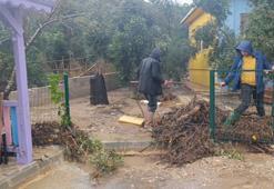 Antalya'da sel suları istinat duvarını yıktı, okul sele teslim oldu