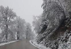 Bolu'da yoğun kar yağışı kara yolunu kapattı