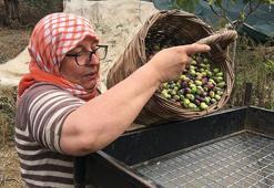 Günlük 3 bin lira yevmiye ile çalışacak eleman bulamıyorlar!