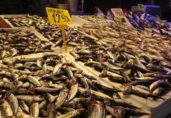 Fiyatlar ikiye katlandı! Hamsiyi soğuk hava vurdu, yerini istavrit aldı