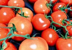 Sebzenin fiyatı düşüyor ama tezgaha yansımıyor!