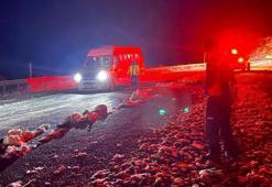 Afyonkarahisar'da minibüs içerisinde mahsur kalan 15 kişi kurtarıldı