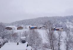 Doğu'da yoğun kar yağışı hayatı olumsuz etkiledi! Köylülerin kar temizleme mesaisi başladı