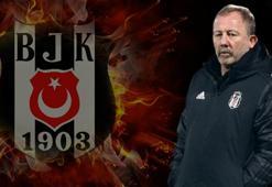 Beşiktaş'ın yeni hocası Sergen Yalçın oluyor! Feyyaz Uçar devreye girdi, bomba patladı