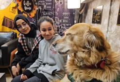 6 yıl önce öğrencilerin peşine takılan 'Fındık' okulun maskotu oldu! Sınıflara giriyor, müdür odasında uyuyor!