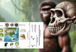 Yeni bir insan türü keşfedildi: Homo juluensi
