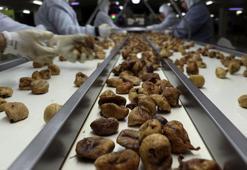 İhracat aşamasında geri dönen ürünler imha ediliyor