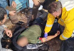 Sivas'ta korkunç olay! Yürüyüş yaptığı sırada ayı saldırısına uğradı