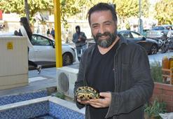 İzmir'de 'kaplumbağalı fotoğrafçı' vatandaşın ilgisini çekiyor! Her yıl yaklaşık 500 kaplumbağa buradan geçiyor