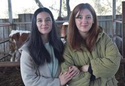 İzmir'de yüksek lisans mezunu kız kardeşler devlet desteğiyle hayvancılık yapmaya başladı! 13 inekle başladıkları işte şimdi 40 inek besliyorlar