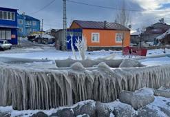 Göl dondu, kuşlar Çınar Teyzeye kaldı! Elleriyle besliyor