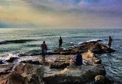 Akyatan Lagünü'nde göçmen kuşların etkisini araştırılıyor