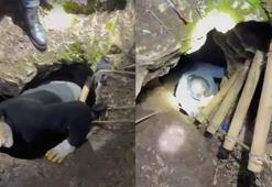 Bursa'da defineciler suçüstü yakalandı