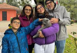 Osmangazi'de sokak hayvanları sıcak yuvalarına kavuşuyor