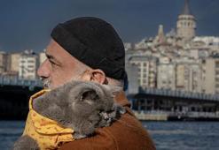Kedi 'reis' sahibinin omzunda İstanbul'u keşfediyor