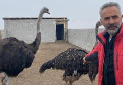 İstanbul bırakıp memleketine döndü, hayali gerçekleştirdi!
