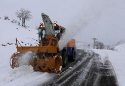 Kar yağışı hayatı felç etti! 191 köy yolu ulaşıma kapandı