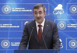 Cumhurbaşkanı Yardımcısı Yılmaz'dan Yeni GAP Eylem Planı'na ilişkin açıklama