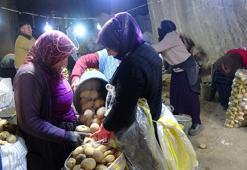 Kayseri'de kayadan oyma mağara patates deposu olarak kullanılıyor