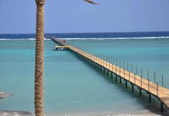 Köpek balığı saldırısına uğrayan turist hayatını kaybetti