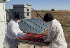Şanlıurfa'da yapıldı! Süre kısaldı, fiyatların düşmesini sağlayacak