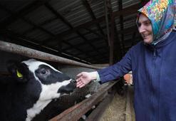 Aldıkları hibe hayatlarını değiştirdi! Günlük 1 ton üretim yapıyorlar