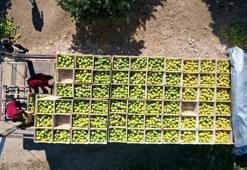 'Gümrükten geri dönen tarım ürünleri için mutlaka analiz yapılmalı'