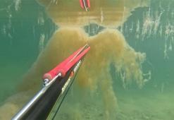 Büyükçekmece'de denizin dibinde korkutan görüntü! 'Çok üzüldüm gerçekten'