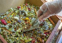 Havalar soğudu, talep arttı! Kilosu 500 TL'den satışta