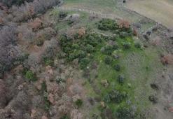 Büyük İskender'in ilk büyük zaferinin 2400 yıllık sırrı çözüldü: Hermaion Antik Kenti ortaya çıktı