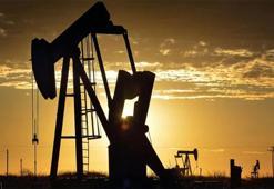 Petrol beklentiyi karşılayamadı! Yatırımcısını hayal kırıklığına uğrattı