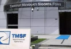 TMSF 2 şirketi satışa çıkardı