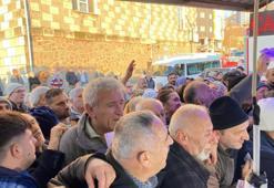 Hopa'da 30 liralık hamsiye yoğun ilgi