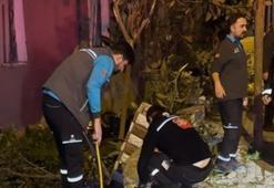 Avcılar'da hurdacılar doğalgaz emniyet ventilini çaldı mahalleyi koku sardı