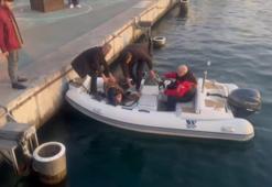 Kadıköy'de denize düşen vatandaştan ilginç cevap: "Allah beni boğmuyor”