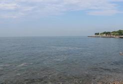 Bakanlık'tan iki belediyeye 10 milyon TL müsilaj cezası