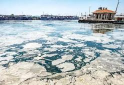 Bakanlık'tan iki belediyeye 10 milyon TL müsilaj cezası