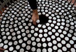 Gümüşhane dağlarında yetişiyor! C vitamini deposu